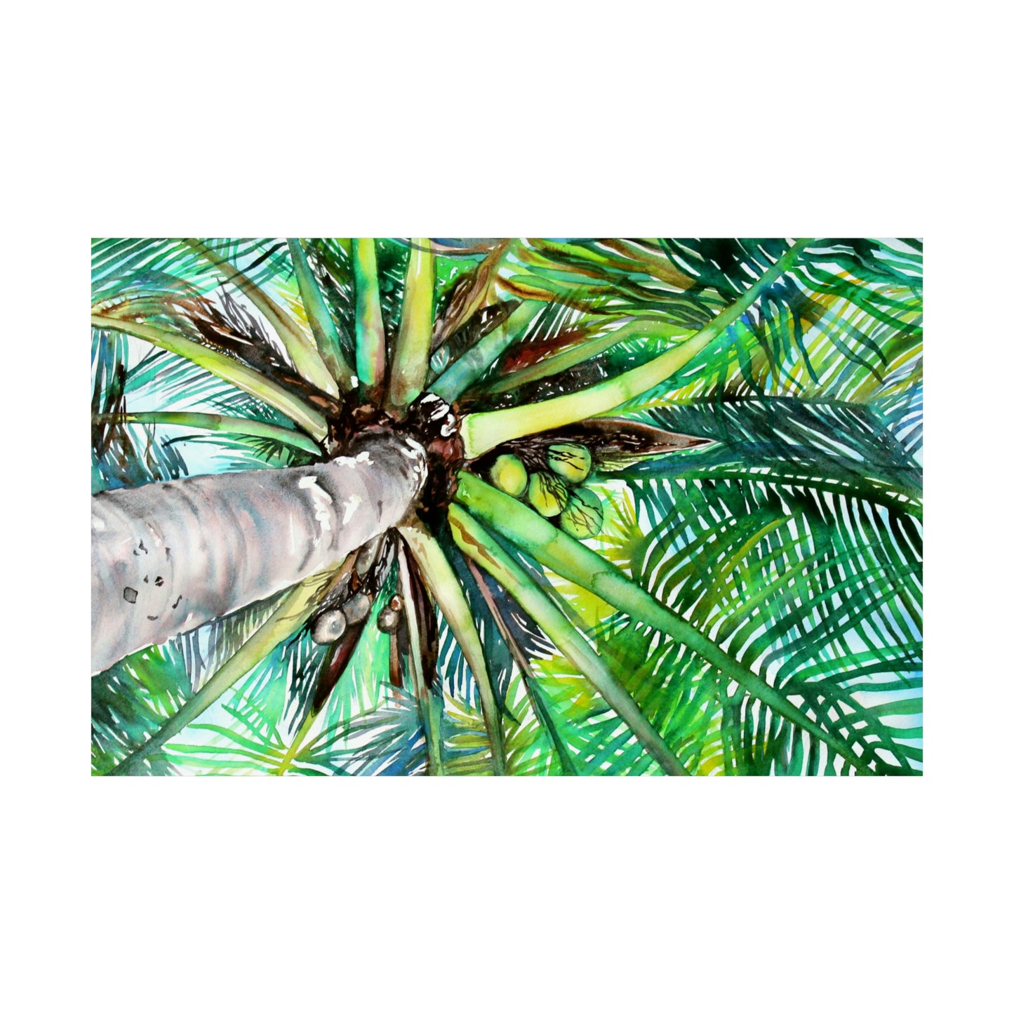 Looking Up Art Print